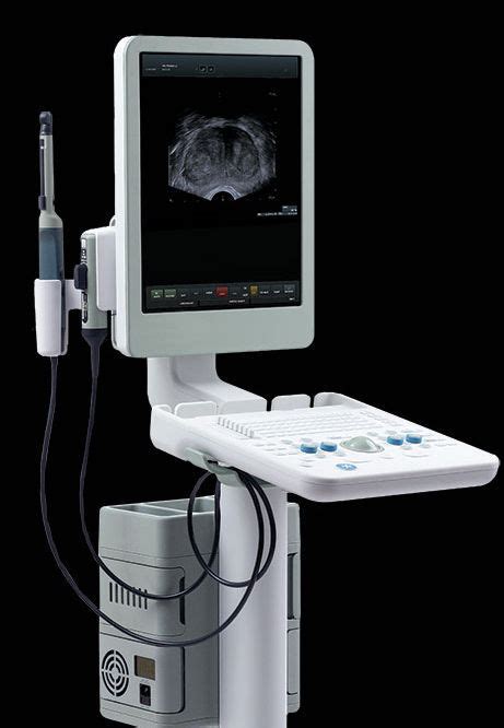 Analogic ultrasound flex focus 400 users manual. - Dimensión de la empresa y órganos de representación.